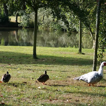 La Coulombe Manoir De Hérouville