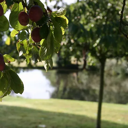 Сasa de vacaciones La Coulombe Manoir De Hérouville Litteau