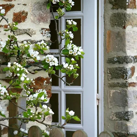 La Coulombe Manoir De Herouville Litteau