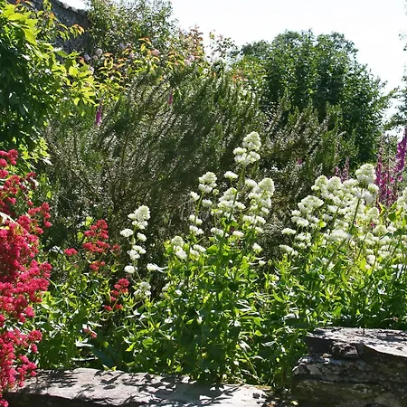 Holiday home La Coulombe Manoir De Herouville