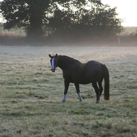 La Coulombe Manoir De Herouville Tatil Evi