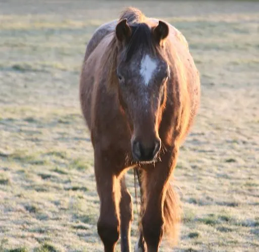 Сasa de vacaciones La Coulombe Manoir De Hérouville *
