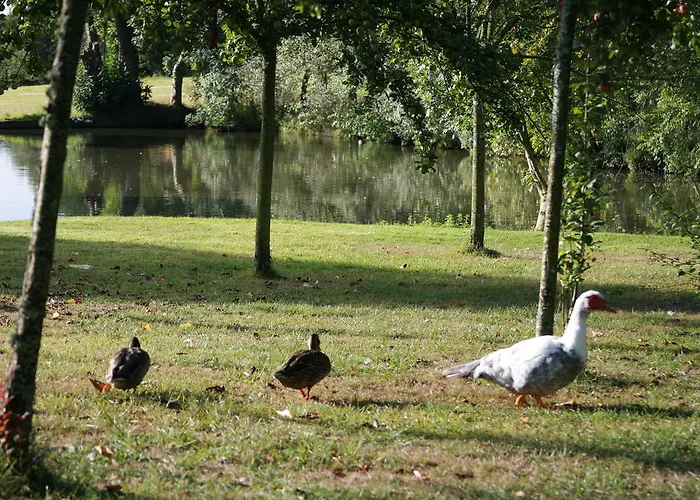 La Coulombe Manoir De Herouville