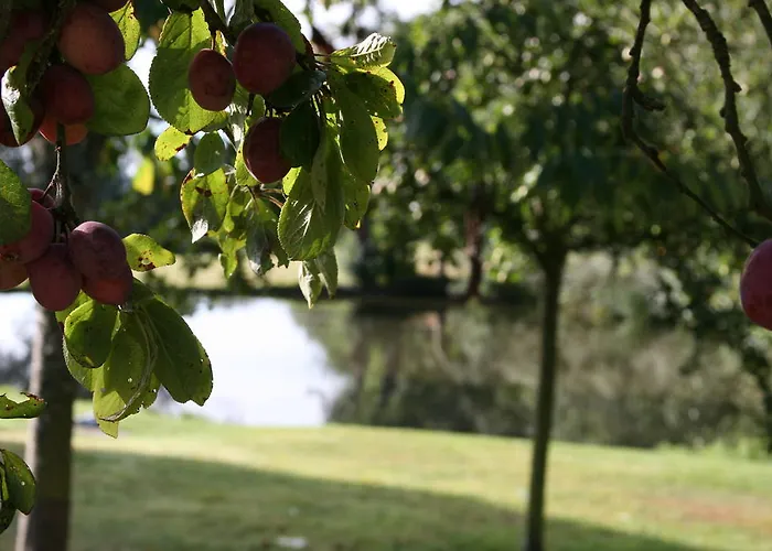 Сasa de vacaciones La Coulombe Manoir De Hérouville Litteau
