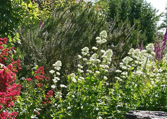 Сasa de vacaciones La Coulombe Manoir De Hérouville