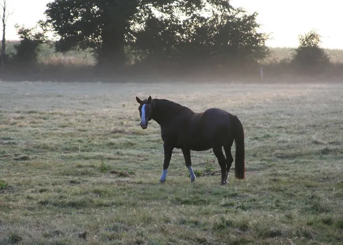 La Coulombe Manoir De Hérouville Сasa de vacaciones